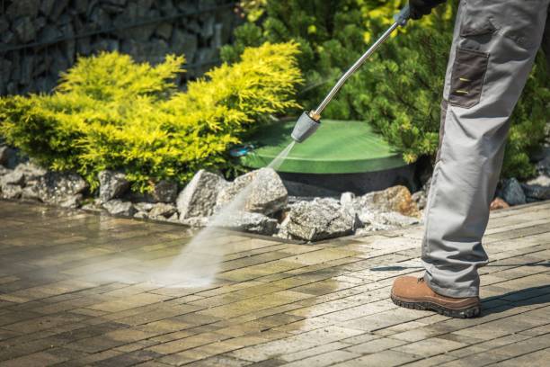 Animal Enclosure Cleaning in Lewiston, UT